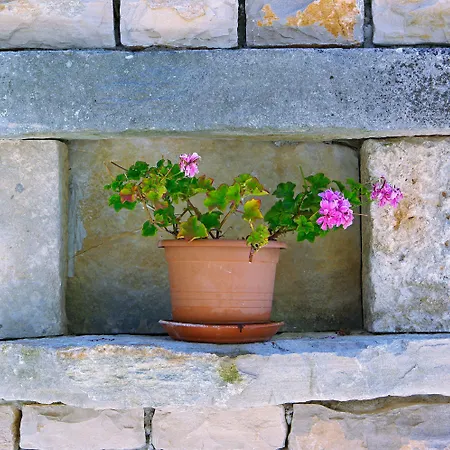 Szálloda Boutique Telenta