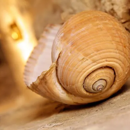 Boutique Telenta Szálloda Vela Luka