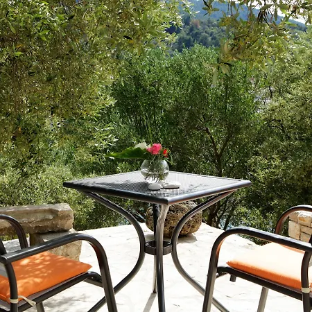 Hotel Boutique Telenta 4*